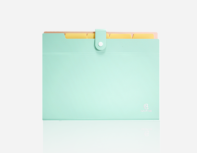 Bi-Color Expanding File| B-MFO-128 