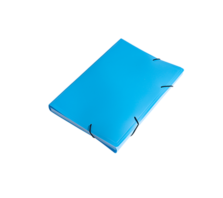 Blue Plastic Expanding File|B-6
