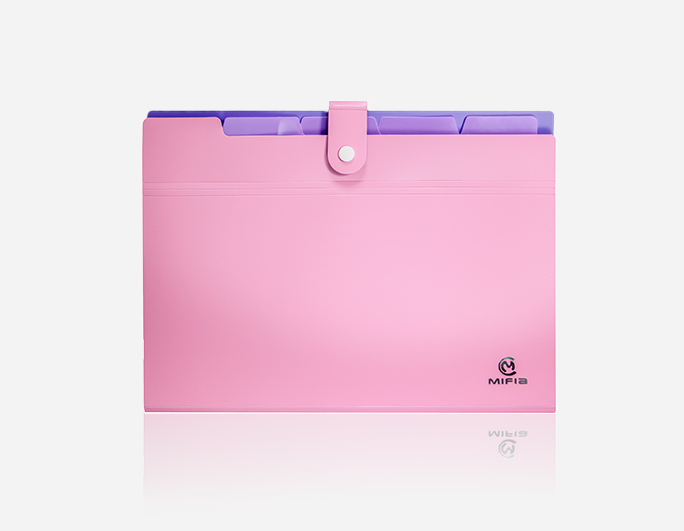 Bi-Color Expanding File| B-MFO-128 