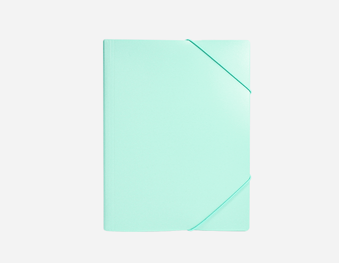 Bi-color Elastic Folder Plastic File | B-MFO-031