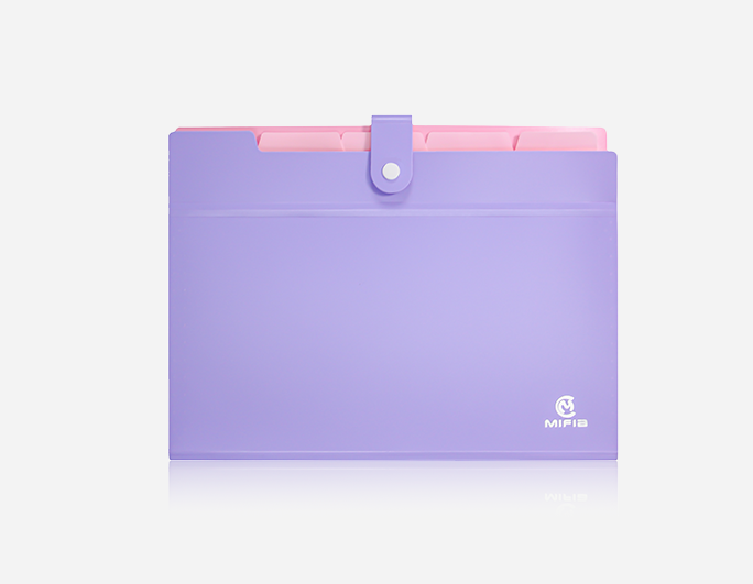 Bi-Color Expanding File| B-MFO-128 