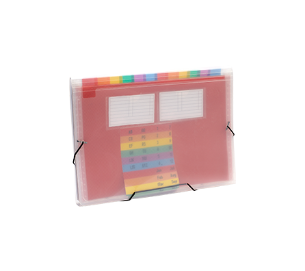 Classic PP Expanding File | 13 Pockets | Transparent Diagonal Design | MFO-123