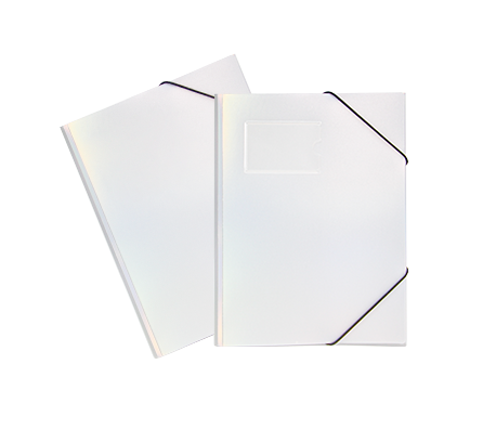 Matte Sandy Finish Plastic Laser 3-Flap Folder with Elastic | LY-MFO-031